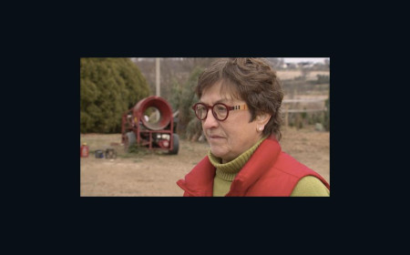 She made a promise to her husband to keep their tree farm going